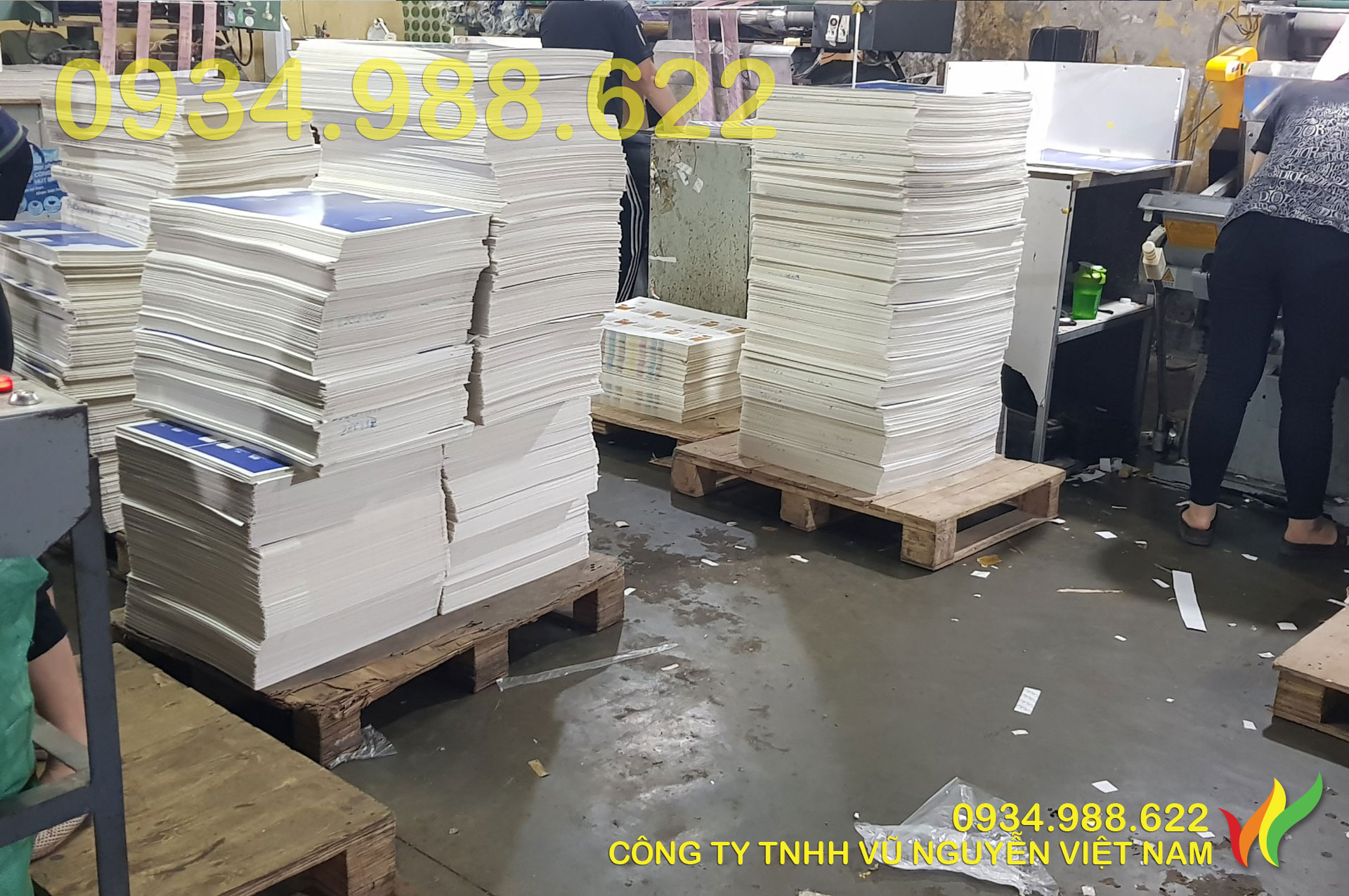 Hình ảnh nhập giấy thực tế của công ty